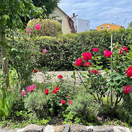 Fewo Apartment Lake Of Constance FDH Zewnętrze zdjęcie