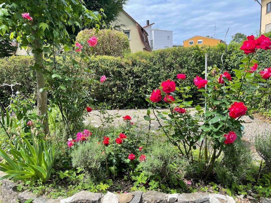 Fewo Apartment Lake Of Constance FDH Zewnętrze zdjęcie